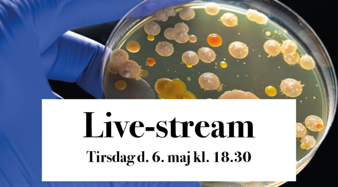 6/5 2025 Live-Stream